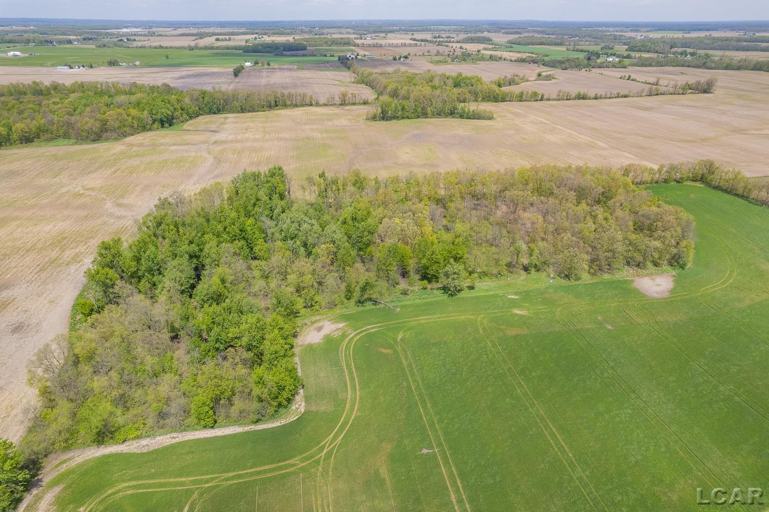 16580 West Ridgeville Road Waldron, MI 49288 - Photo 57 of 67