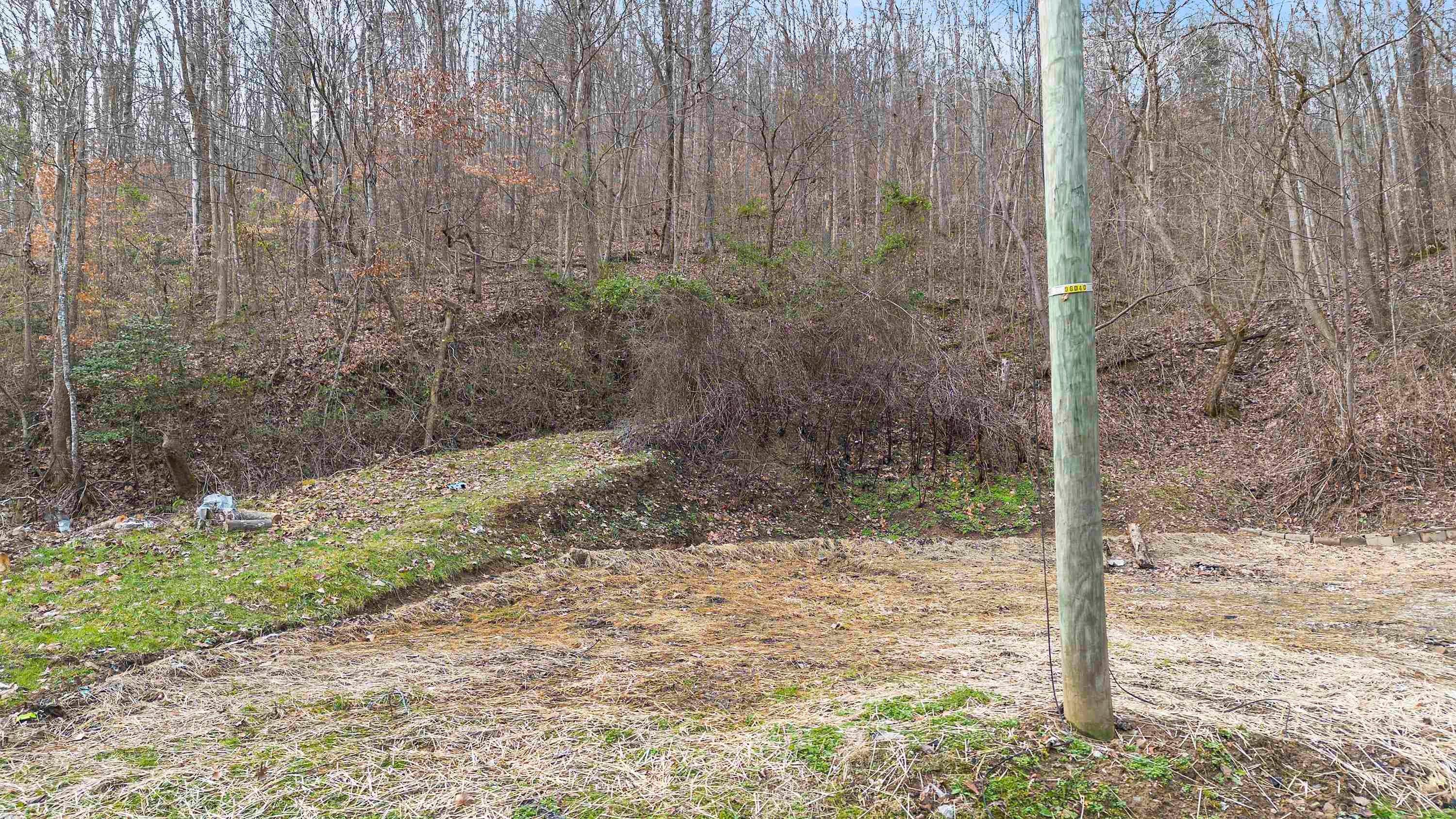 6798 Little Sandy Road Elkview, WV 25071 - Photo 10 of 10 Gallery Image 10