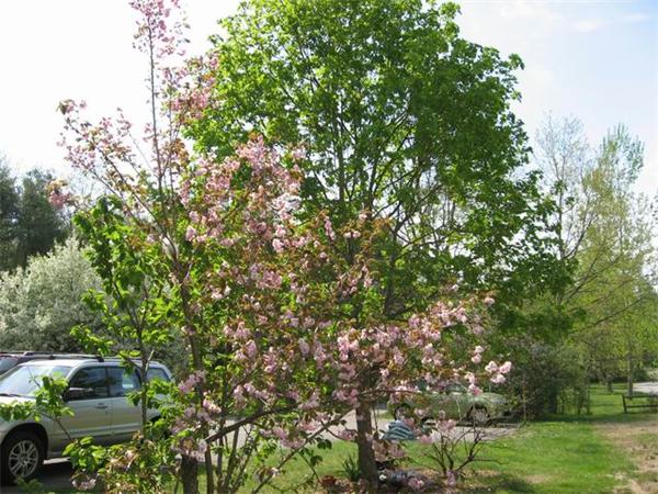 11 Pheasant Ridge Road Townsend, MA 01469 - Photo 16 of 22