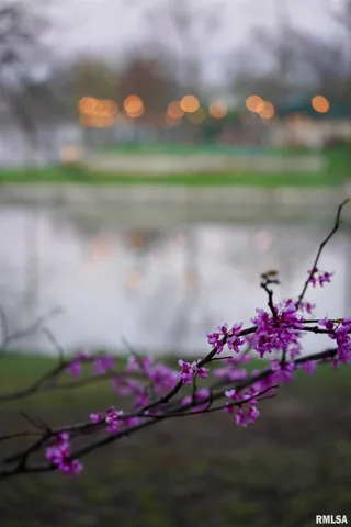 $369,000 | 15316 Lake Point Drive, Benton, IL 62812