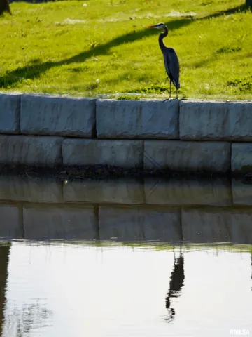 $369,000 | 15316 Lake Point Drive, Benton, IL 62812