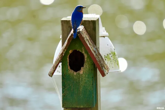 $369,000 | 15316 Lake Point Drive, Benton, IL 62812