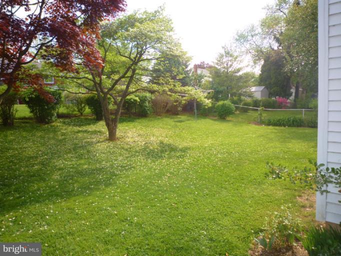 1017 Baltimore Road Rockville, MD 20851 - Photo 21 of 23 Back Yard - Dogwood!