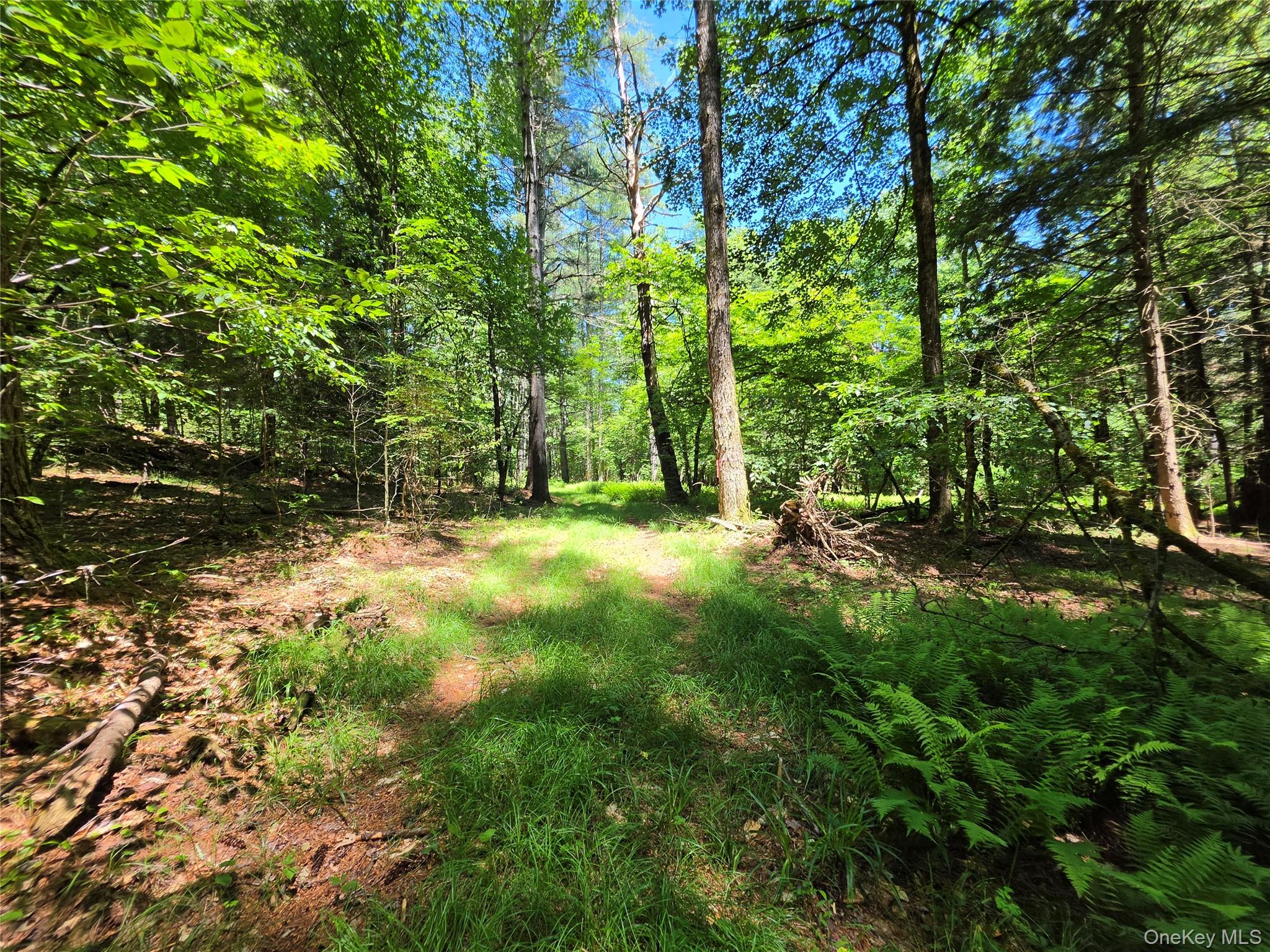 Tbd Camp Kennybrook Road Monticello, NY 12701 - Photo 8 of 34