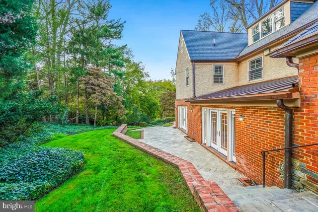 a view of a big yard with plants and large trees