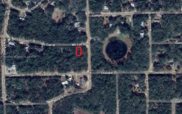 a bird view of house and tree