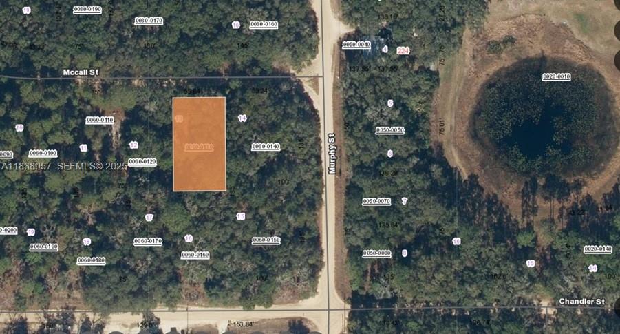0 Mc Call Street Interlachen, FL 32148 - Photo 2 of 2 a bird view of house and tree