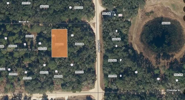 $8,000 | 0 Mc Call Street, Interlachen, FL 32148