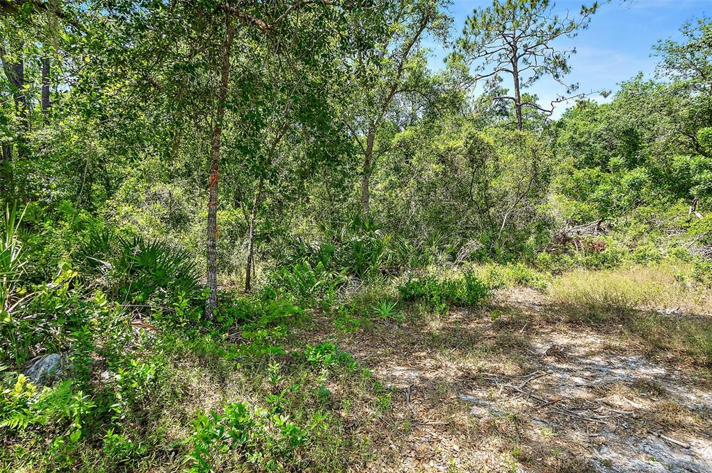 1370 Buckles Road Pierson, FL 32180 - Photo 45 of 57