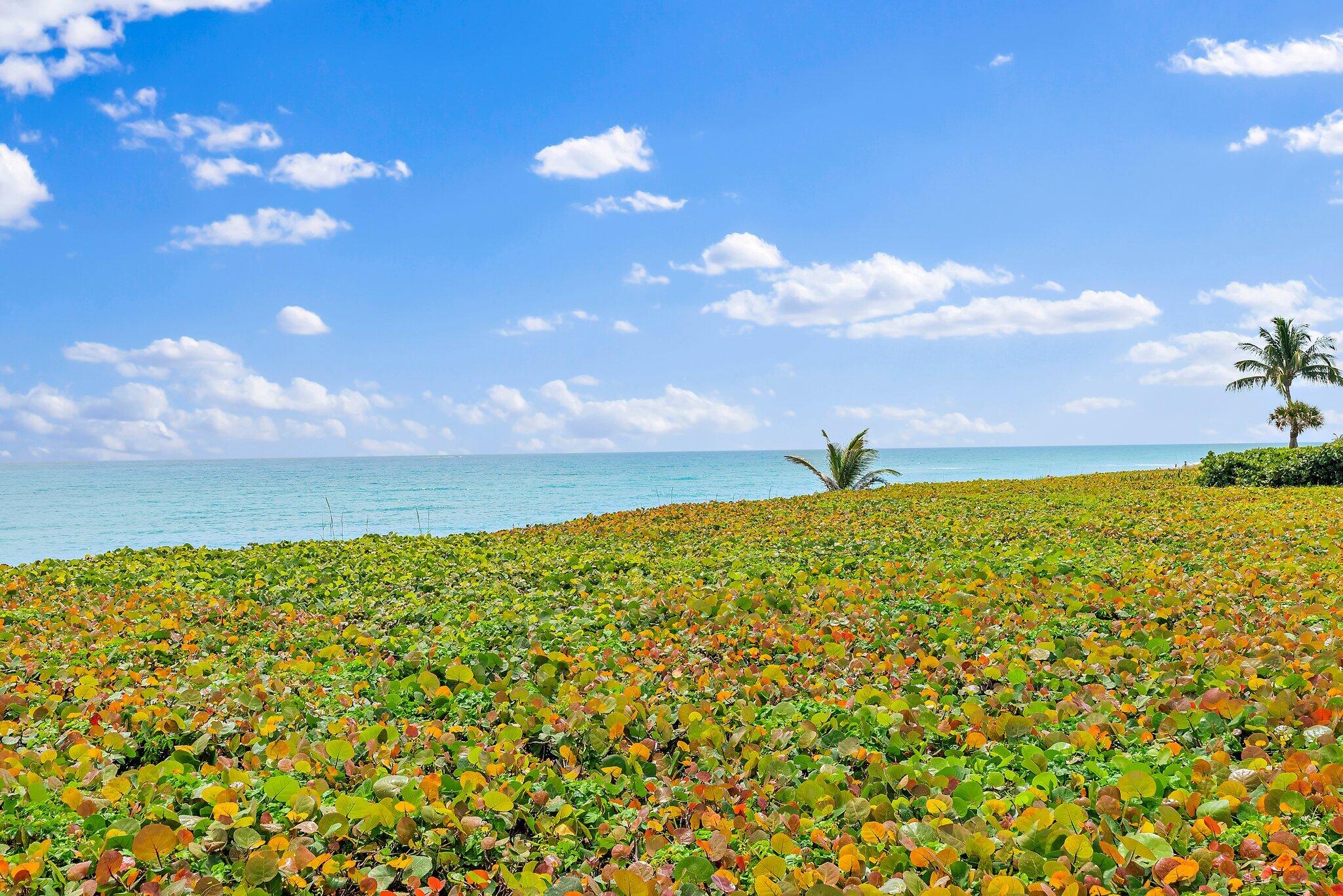 170 Celestial Way, Unit 33 Juno Beach, FL 33408 - Photo 49 of 51 040-170CelestialWay33-JunoBeach-FL-SMALL