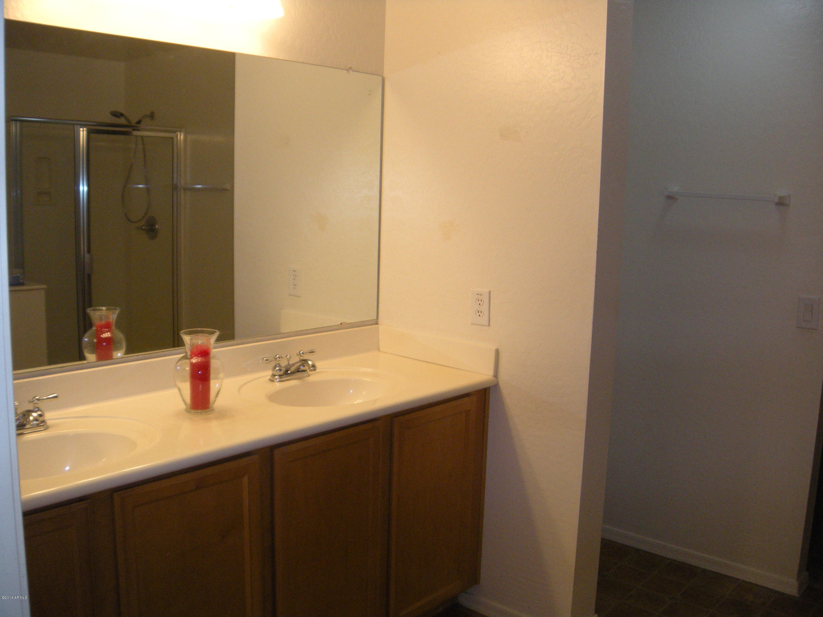 45570 West Tucker Road Maricopa, AZ 85139 - Photo 8 of 23 Master Bath
