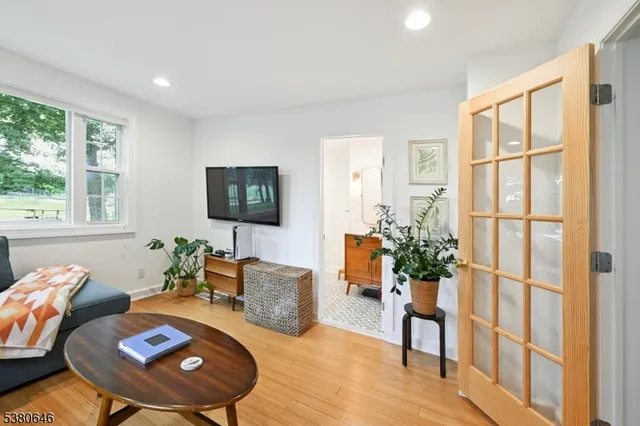 a living room with furniture and a potted plant