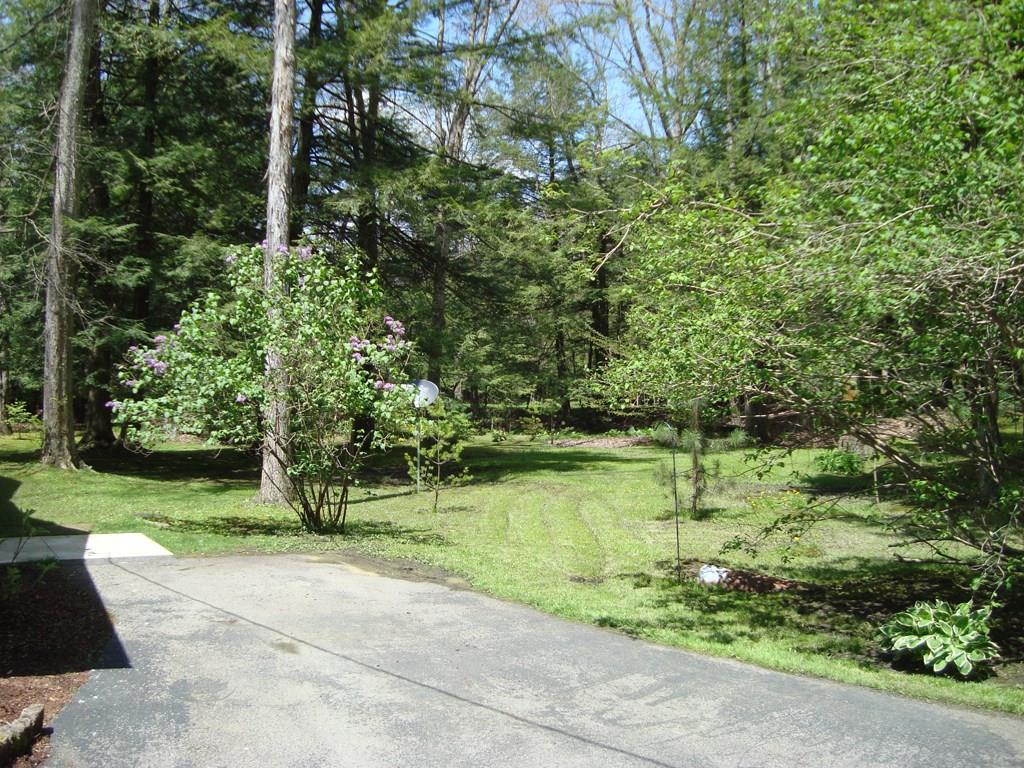1682 Rte 259 Highway Penn Run, PA 15765 - Photo 23 of 24 Yard