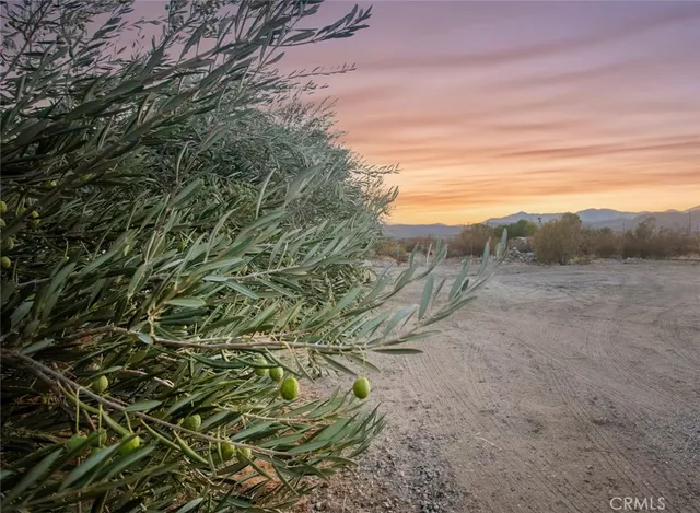 $3,000 | 50785 Twentynine Palms Highway, Morongo Valley, CA 92256