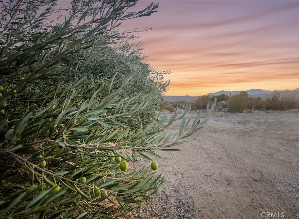50785 Twentynine Palms Highway Morongo Valley, CA 92256 - Photo 44 of 44