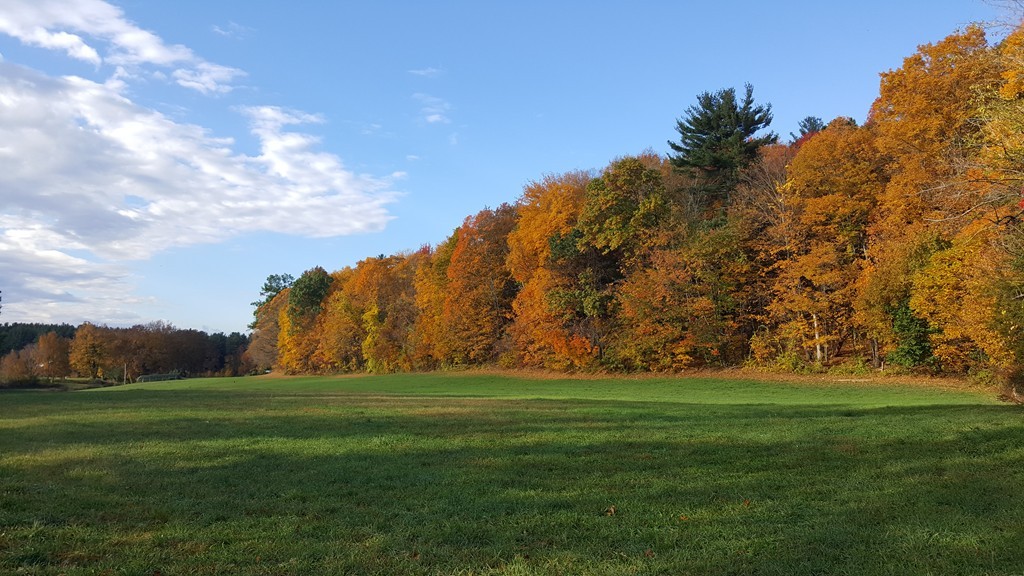 64 West Farms Road Northampton, MA 01062 - Photo 30 of 30