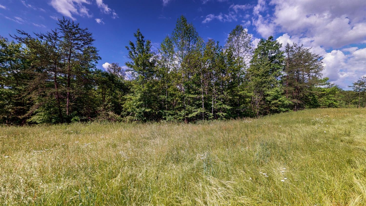 30 Travellers Rest Booneville, KY 41314 - Photo 13 of 20 Photo 13