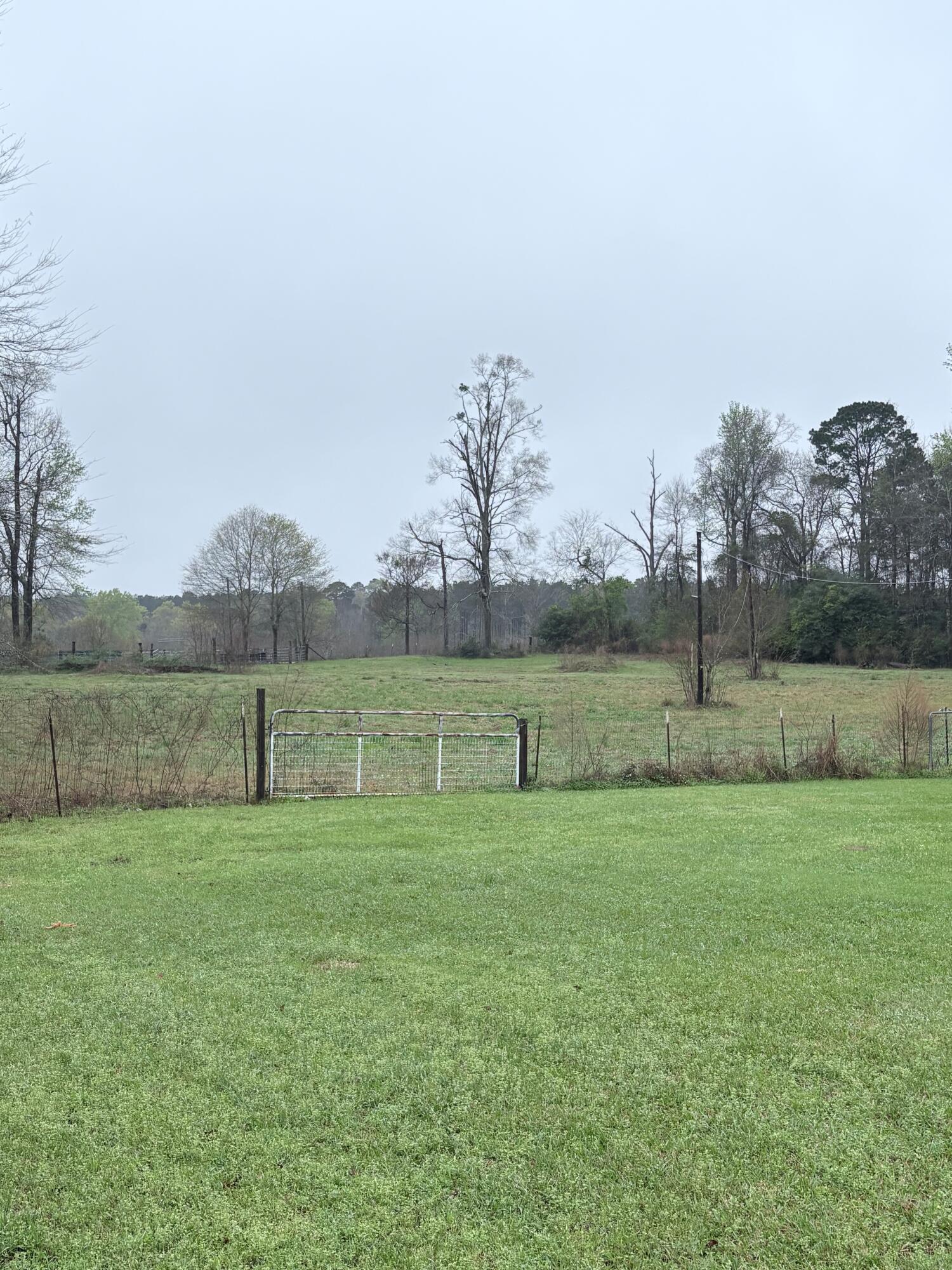 707 West Hawthorne Road Leesville, LA 71446 - Photo 17 of 18 Gallery Image 17