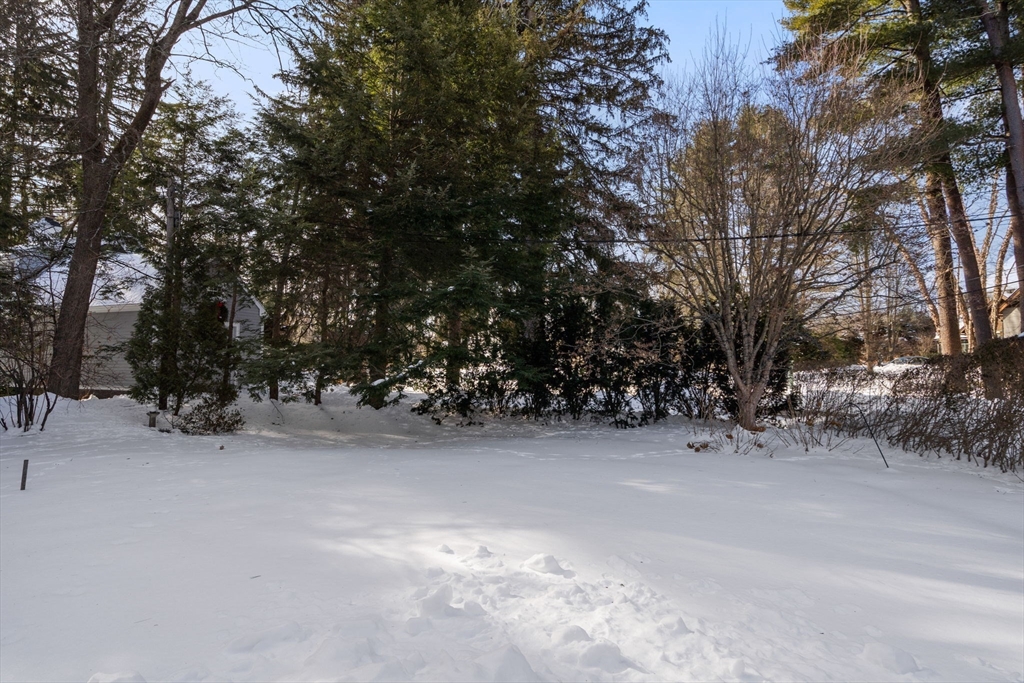 29 Abbott Road Wellesley, MA 02481 - Photo 30 of 32