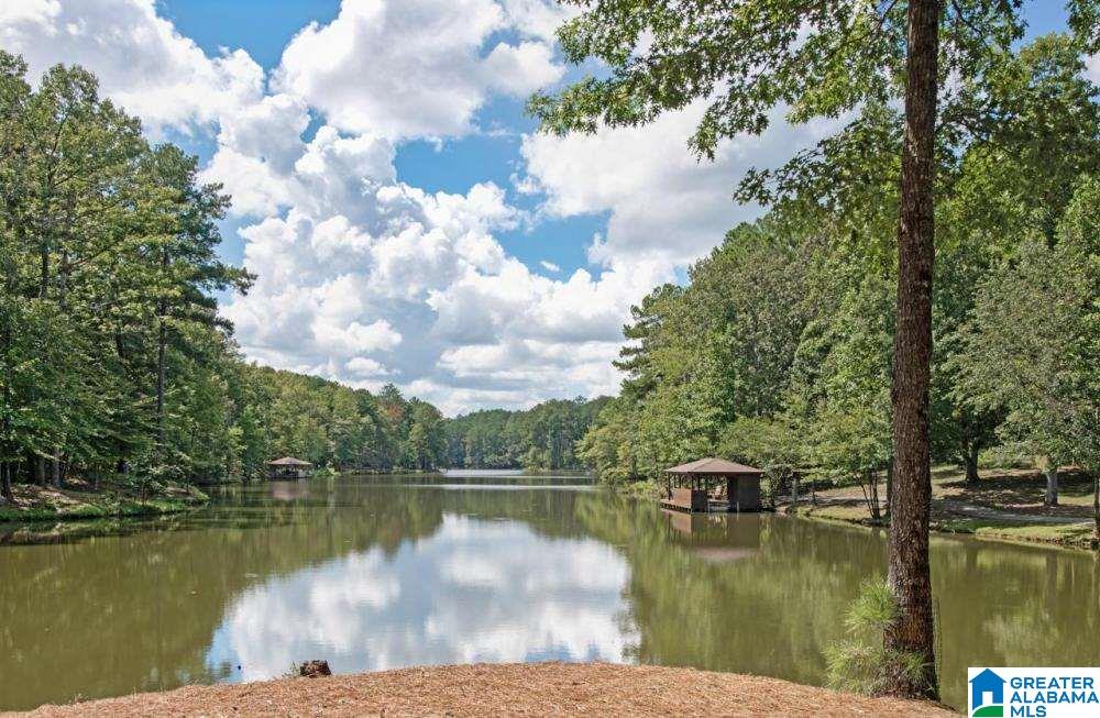225 Valley Lake Road Columbiana, AL 35051 - Photo 44 of 50