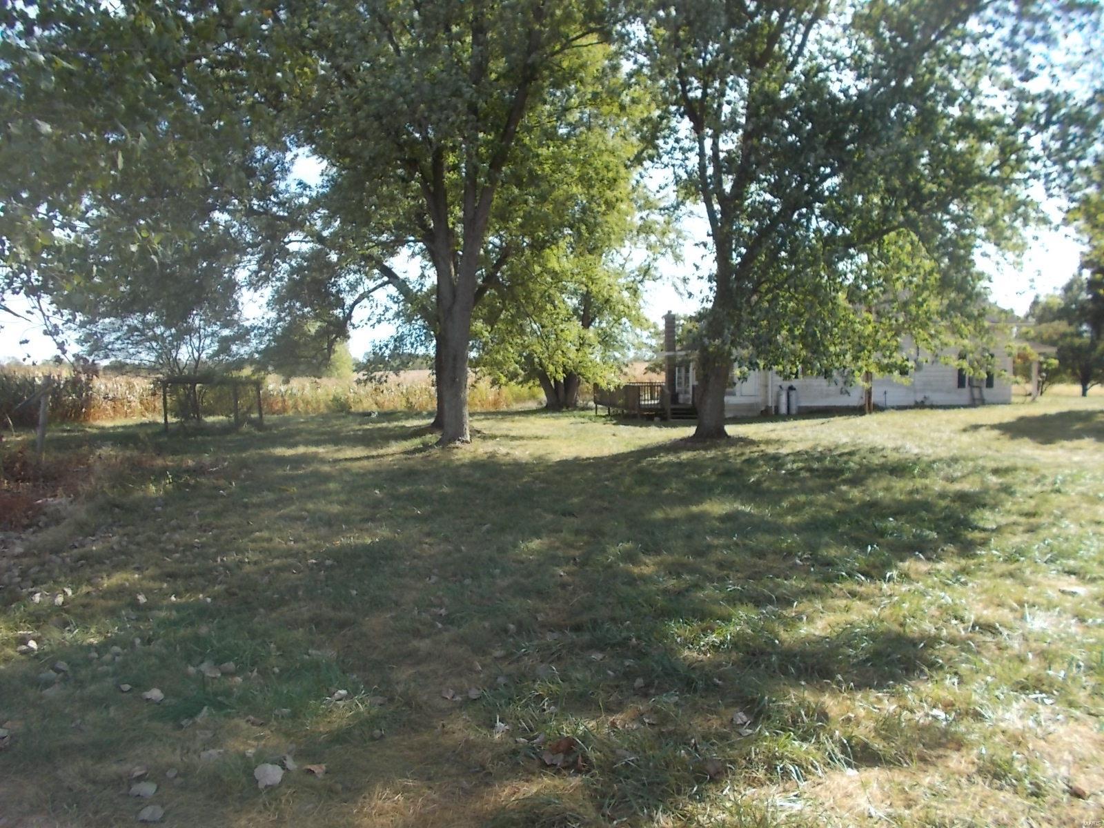8740 Baldwin Road Baldwin, IL 62217 - Photo 8 of 24
