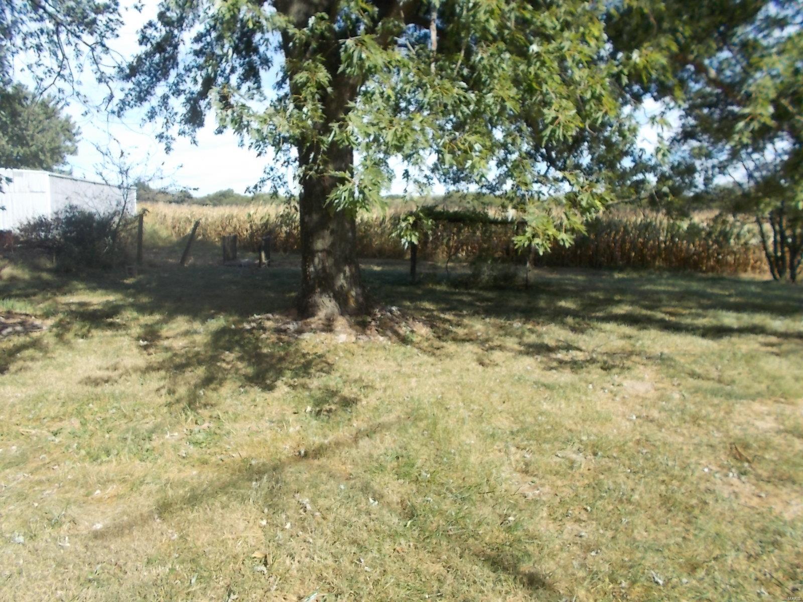 8740 Baldwin Road Baldwin, IL 62217 - Photo 10 of 24