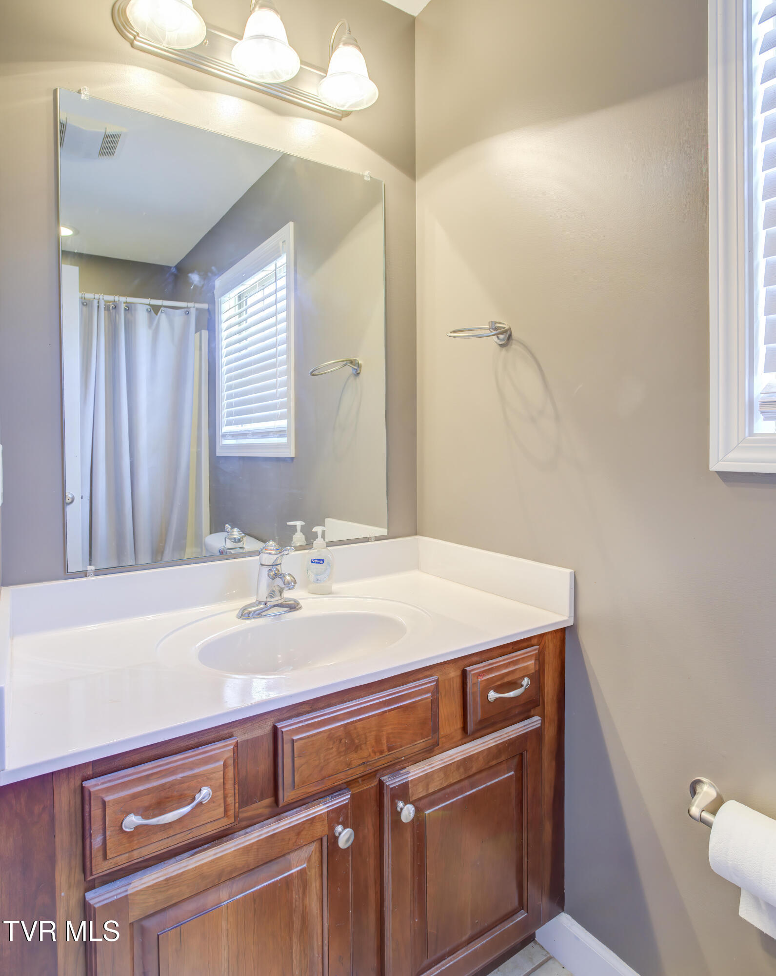 1032 Austin Ridge Court Piney Flats, TN 37686 - Photo 34 of 50 1032 Austin Springs (34)