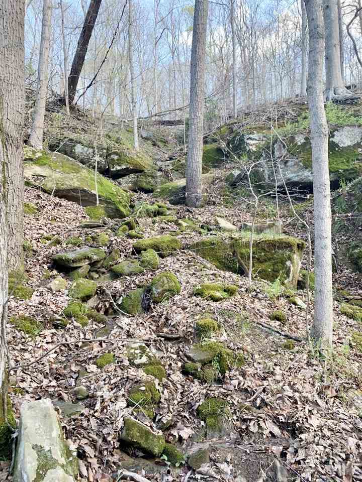 5286 Dunkle Branch Road Lavalette, WV 25535 - Photo 14 of 15 Gallery Image 14
