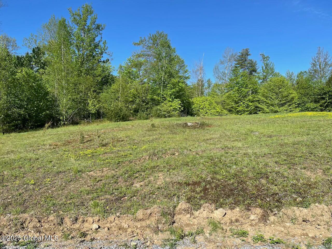 L47 Pine Crest Road Hadley, NY 12835 - Photo 5 of 10 tempImageDMCZSC