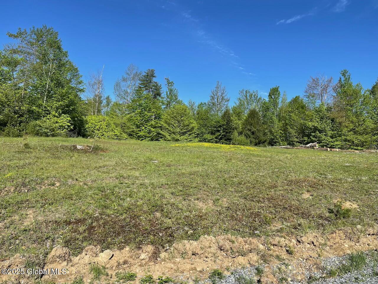 L47 Pine Crest Road Hadley, NY 12835 - Photo 6 of 10 tempImagehbRq0K