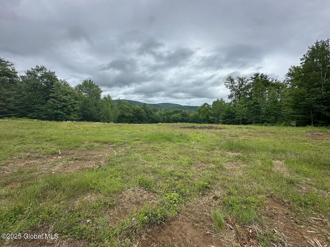 L47 Pine Crest Road Hadley, NY 12835 - Photo 9 of 10 tempImageDt8G81