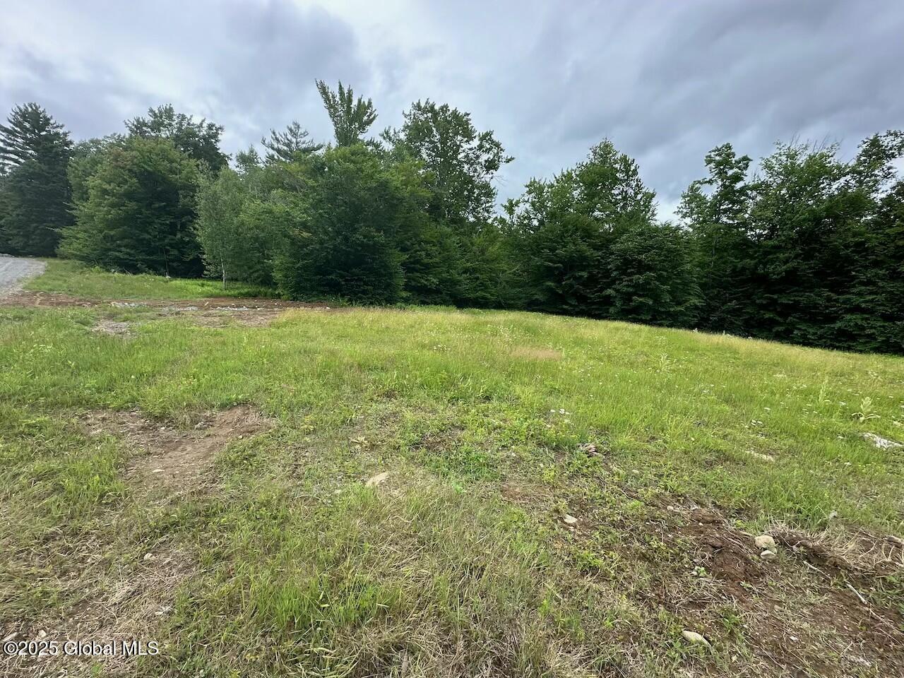 L47 Pine Crest Road Hadley, NY 12835 - Photo 10 of 10 tempImagei0Ps8x