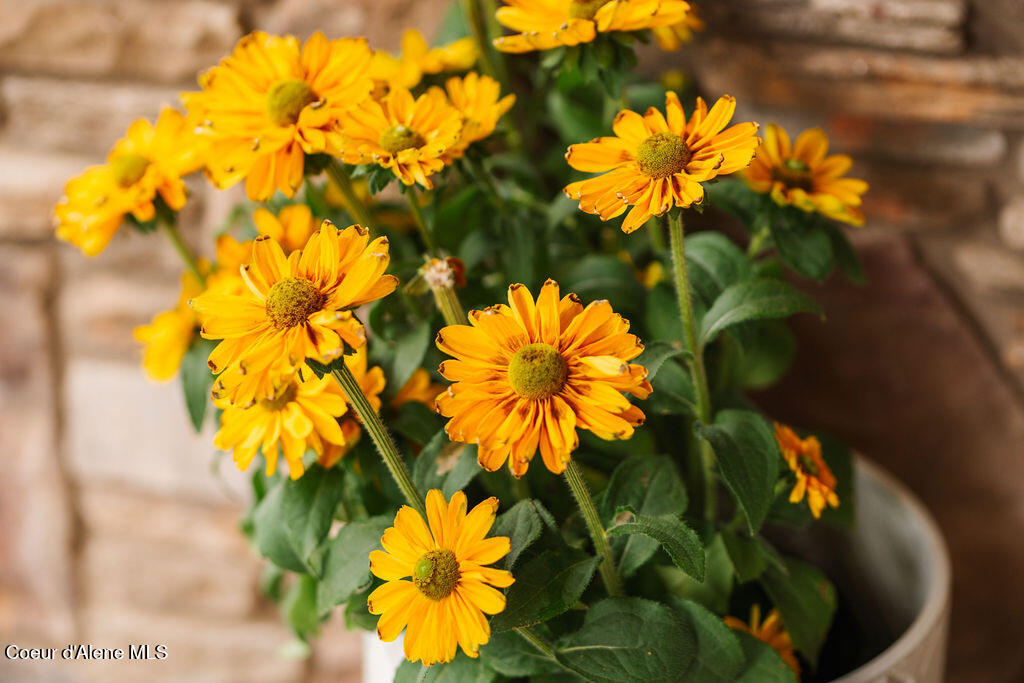 4467 Greenchain Loop, Unit 1 Coeur D'Alene, ID 83814 - Photo 52 of 81 DSC_4901