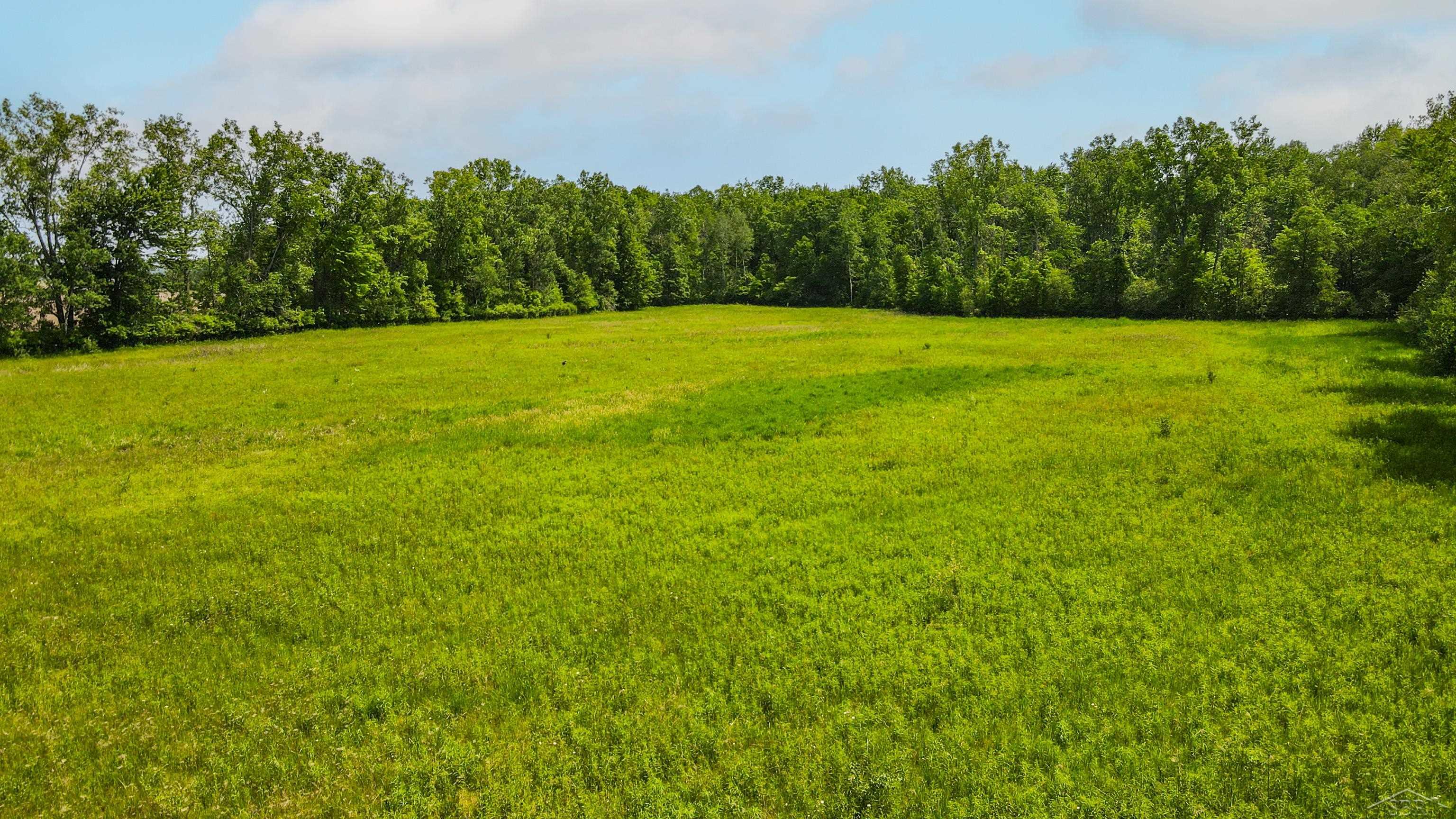 0 Carter Pinconning, MI 48650 - Photo 12 of 29 50108167-11.JPG