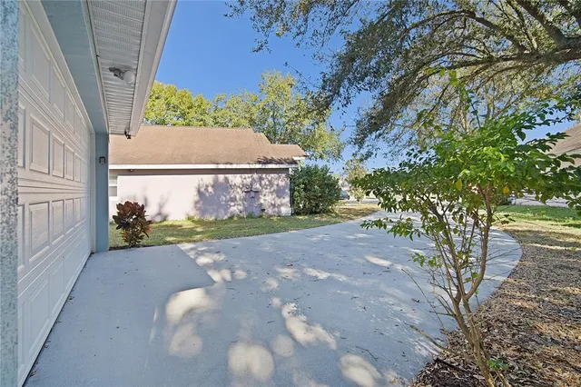 a view of a yard with plants and trees