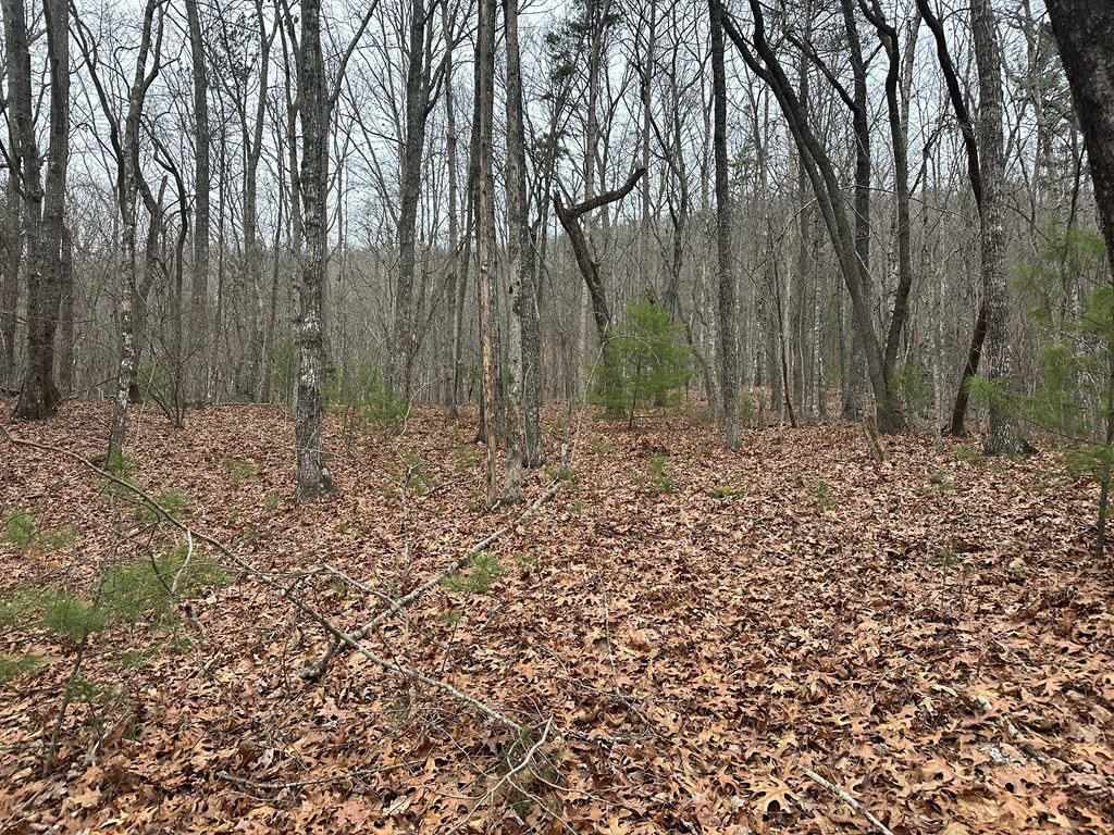 0 Marrestop Road Murphy, NC 28906 - Photo 3 of 14