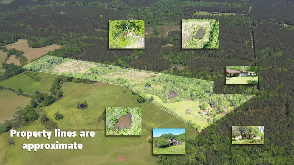 3079 Smiley Honea Road Magnolia, MS 39652 - Photo 2 of 4 Photo 2