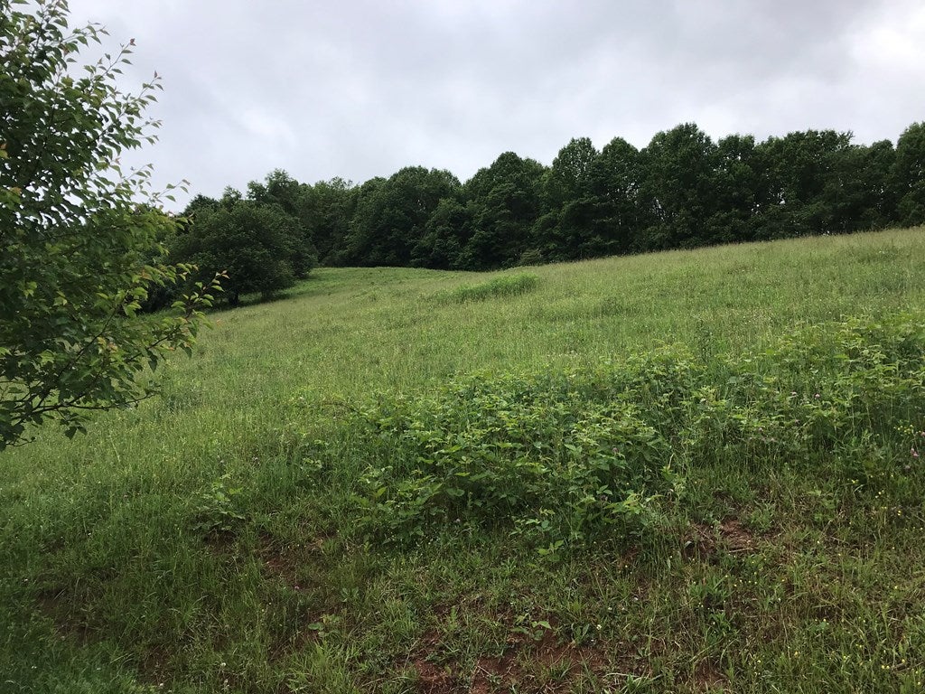 905 Knight Road Rural Retreat, VA 24368 - Photo 14 of 41 Gallery Image 14