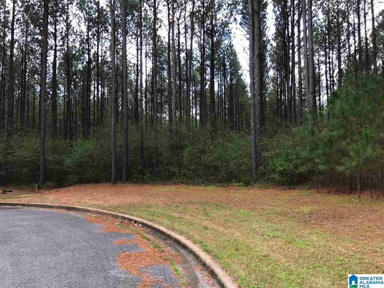 78 Pilgrims Path, Unit 19 Anniston, AL 36207 - Photo 26 of 35