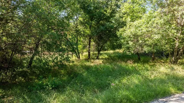 a view of a yard