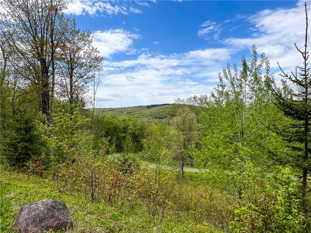 $670,000 | 0 State Route 28, Andes, NY 13731
