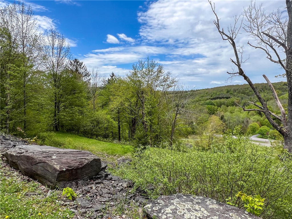0 State Route 28 Andes, NY 13731 - Photo 13 of 50