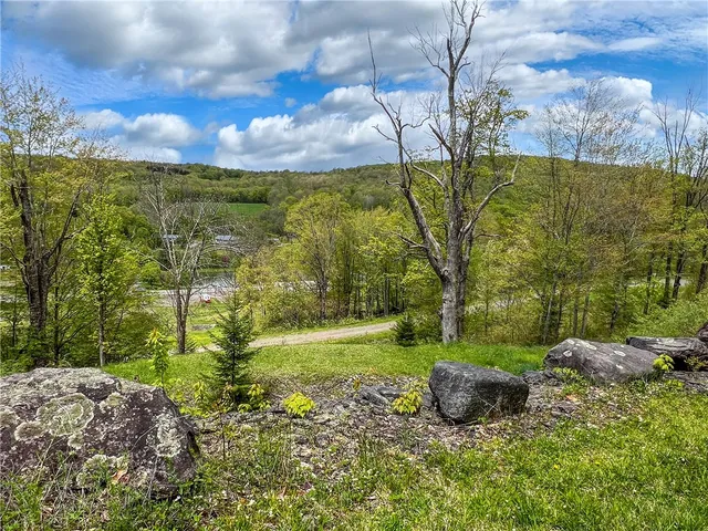 $670,000 | 0 State Route 28, Andes, NY 13731