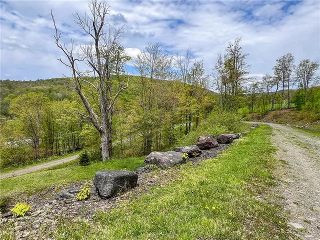 $670,000 | 0 State Route 28, Andes, NY 13731