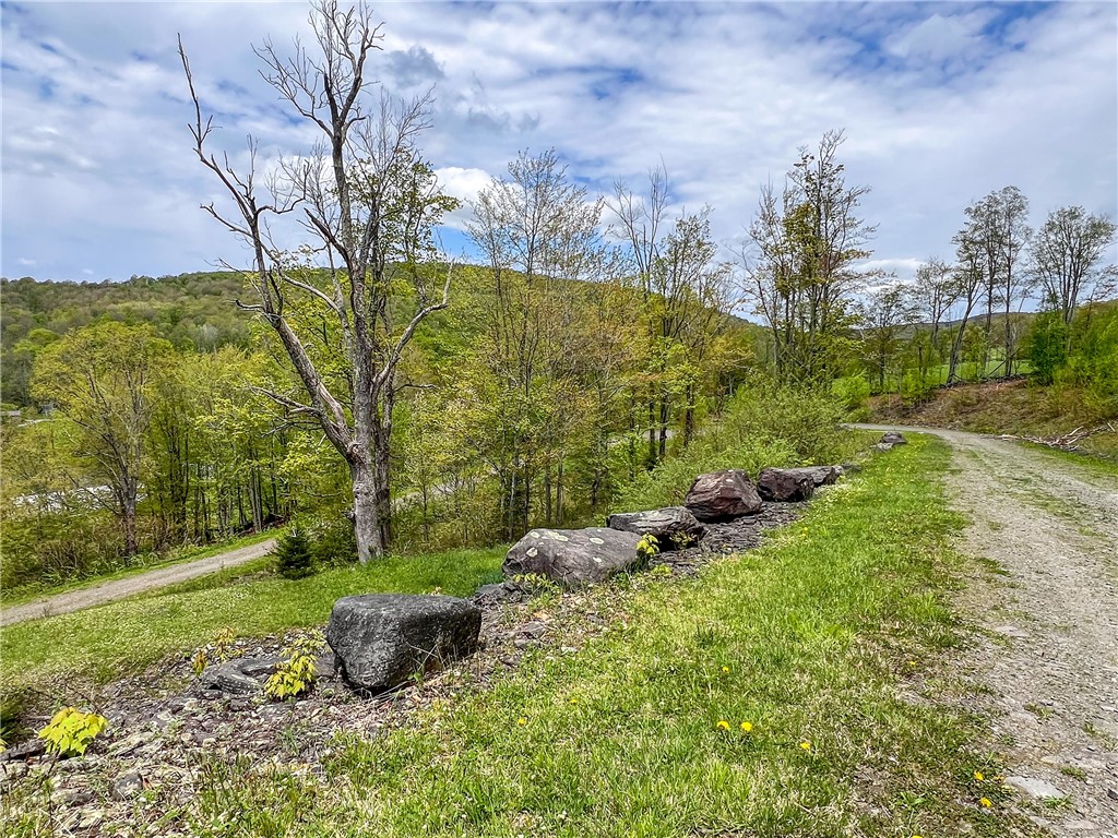 0 State Route 28 Andes, NY 13731 - Photo 15 of 50