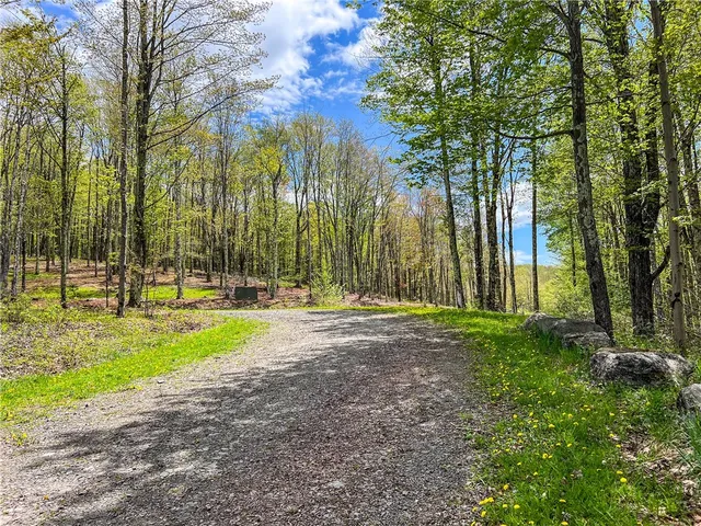 $670,000 | 0 State Route 28, Andes, NY 13731