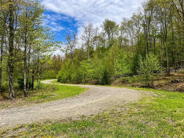 $670,000 | 0 State Route 28, Andes, NY 13731
