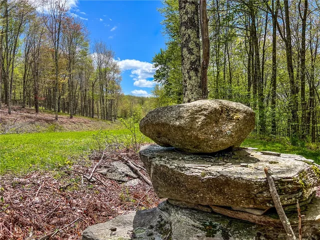 $670,000 | 0 State Route 28, Andes, NY 13731