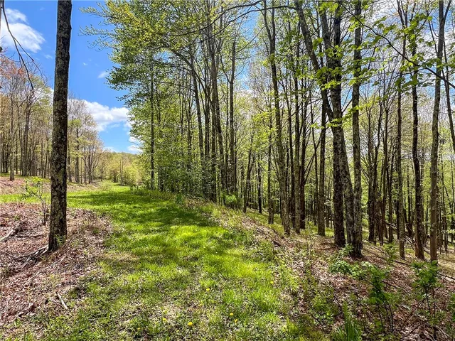 $670,000 | 0 State Route 28, Andes, NY 13731