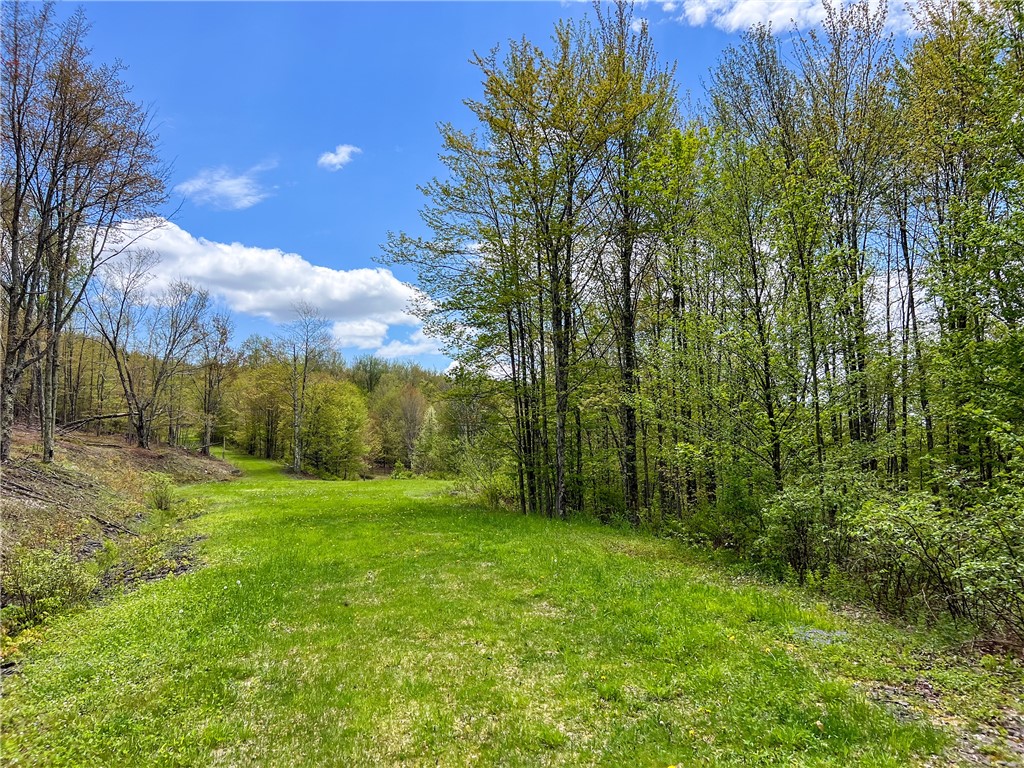 0 State Route 28 Andes, NY 13731 - Photo 23 of 50